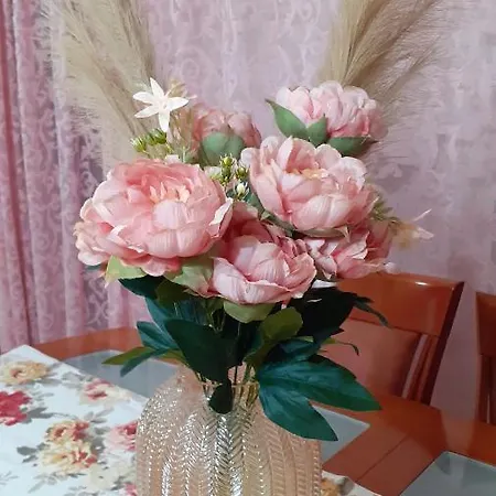 Effrosynis Apartament Saloniki